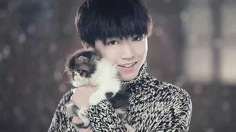 王俊凯下半年爆料视频,揭秘爆料视频背后的精彩故事